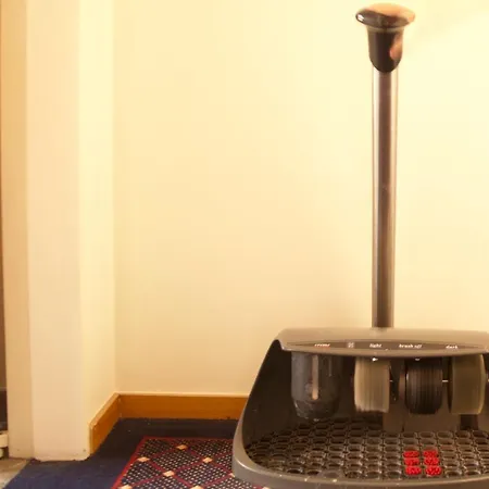 Rainha D. Amelia, Arts & Leisure 4*