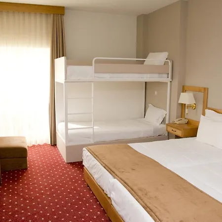 Hotel Rainha D. Amelia, Arts & Leisure 4*