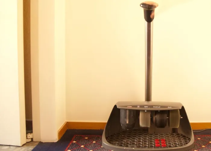 Rainha D. Amélia, Arts&leisure 4*