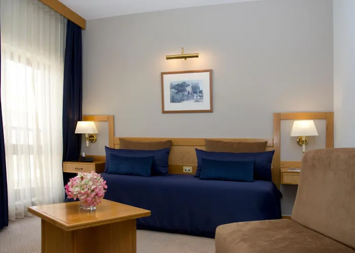 Hotel Rainha D. Amélia, Arts&leisure 4*